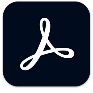 Adobe Acrobat Pro 2025.001.20531 RePack by KpoJIuK
