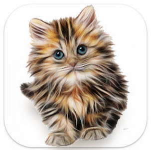 Породы кошек - идентификатор v1.0.28.122 Mod by vedserega [Ru/Multi]