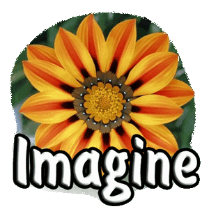 Imagine 2.0.2 + Portable