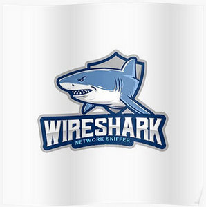 Wireshark 4.2.6 + Portable (x64)