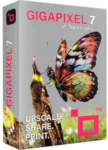 Topaz Gigapixel AI Pro 8.2.1 RC + models Portable by 7997 (x64)