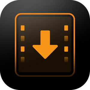 iDownerGo Video Downloader 10.2.5 RePack (& Portable) by elchupacabra